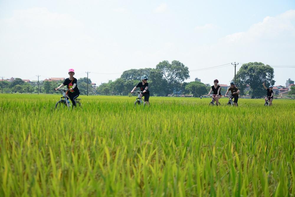 Hanoi Bicyle Tours: Bicycle Tours Hanoi City Half Day