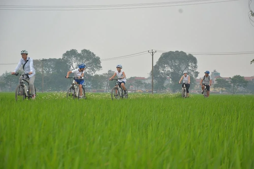 Hanoi Bicyle Tours: Bicycle Tours Hanoi City Half Day