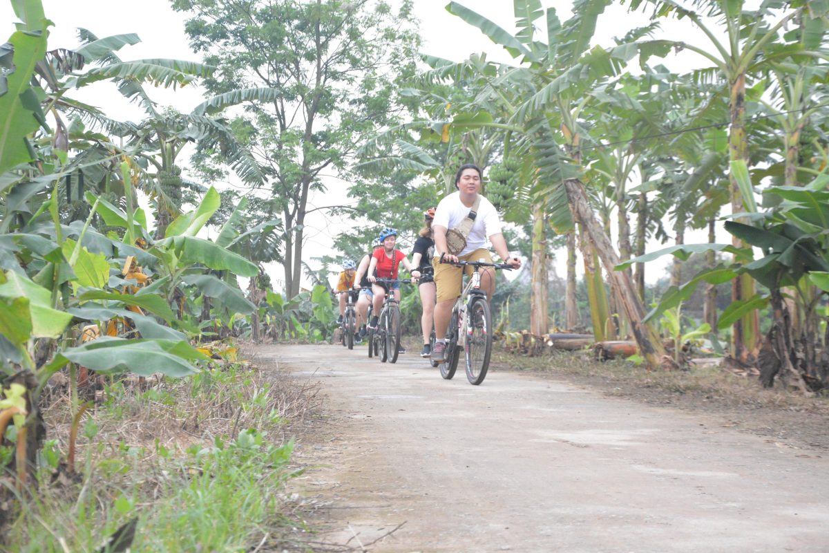 Hanoi Bicyle Tours: Bicycle Tours Hanoi City Half Day