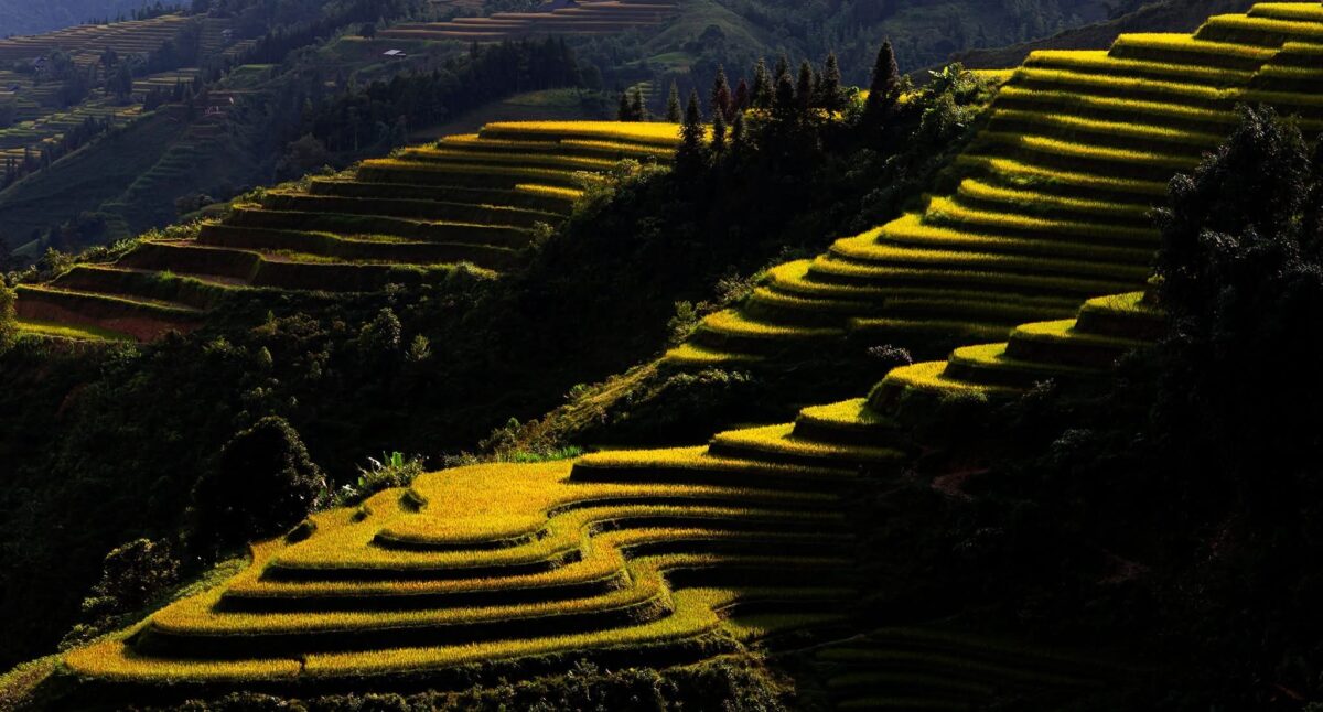 Sapa Motorbike Tours Half Day Led By Women Sapa Motorbike Tours Half Day Led By Women