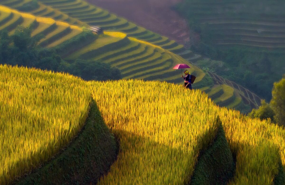 Sapa Motorbike Tours Half Day Led By Women Sapa Motorbike Tours Half Day Led By Women