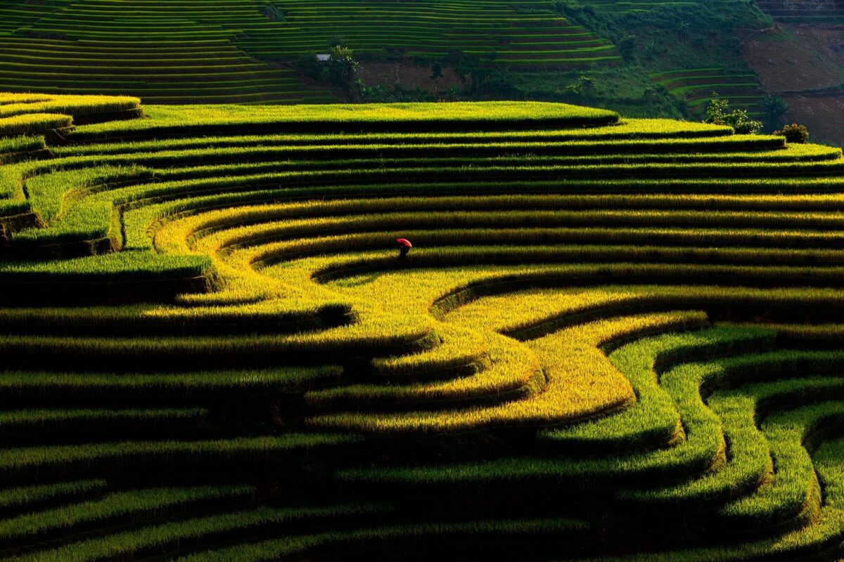 Sapa Motorbike Tours Half Day Led By Women Sapa Motorbike Tours Half Day Led By Women