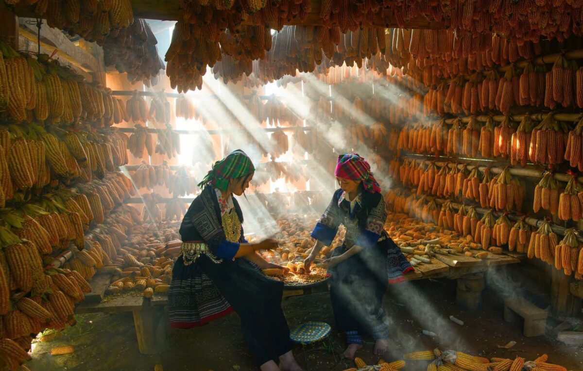 Sapa Motorbike Tours Half Day Led By Women Sapa Motorbike Tours Half Day Led By Women