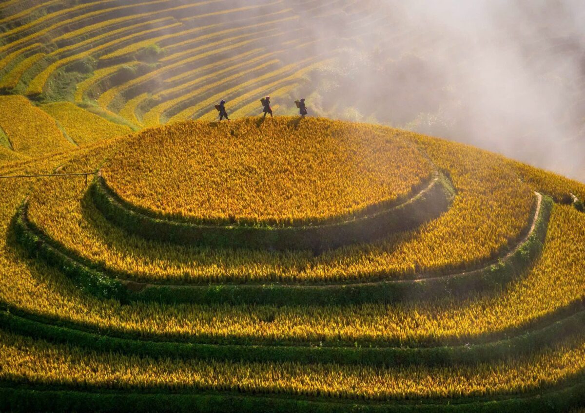 Sapa Motorbike Tours Half Day Led By Women Sapa Motorbike Tours Half Day Led By Women