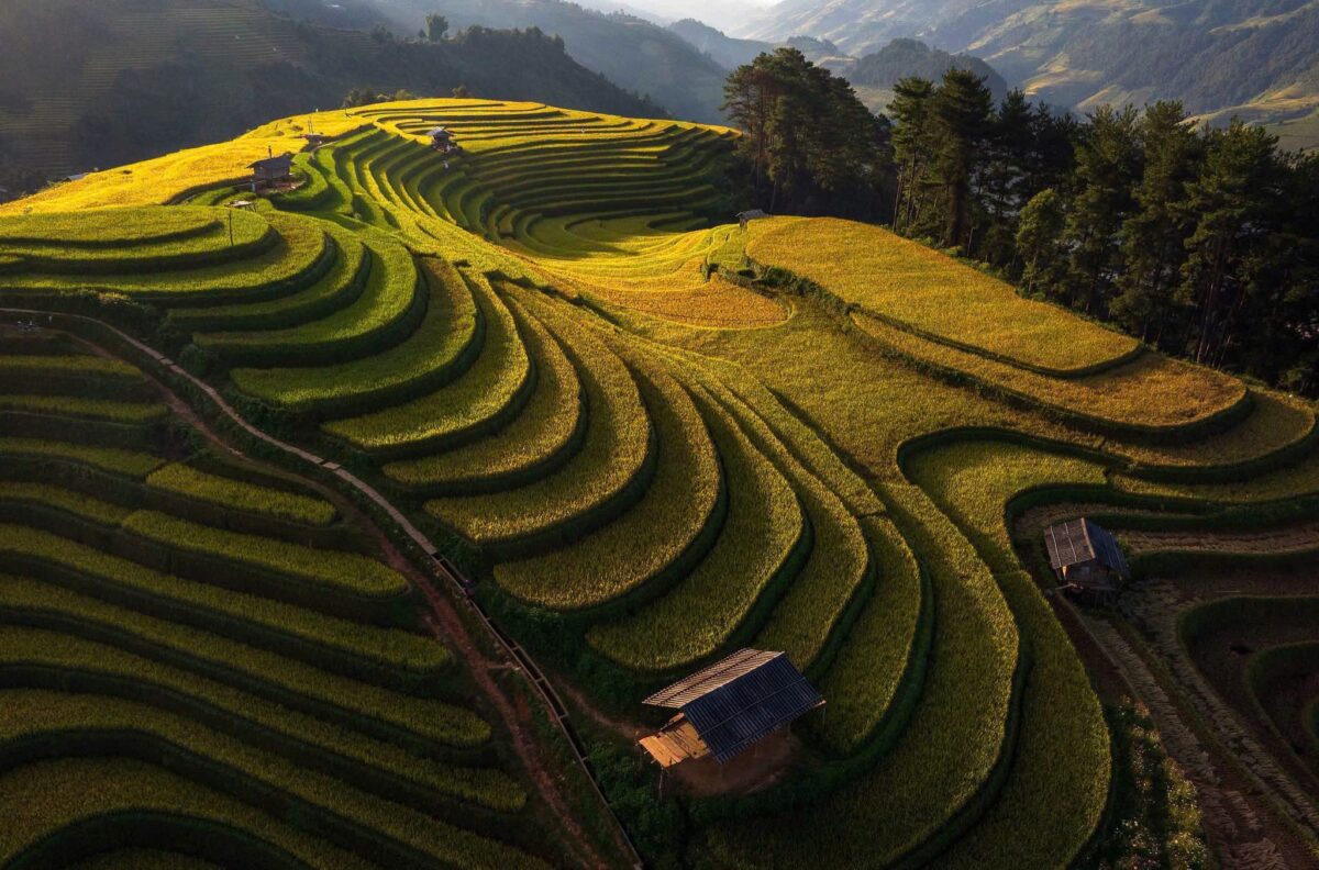 Sapa Motorbike Tours Half Day Led By Women Sapa Motorbike Tours Half Day Led By Women