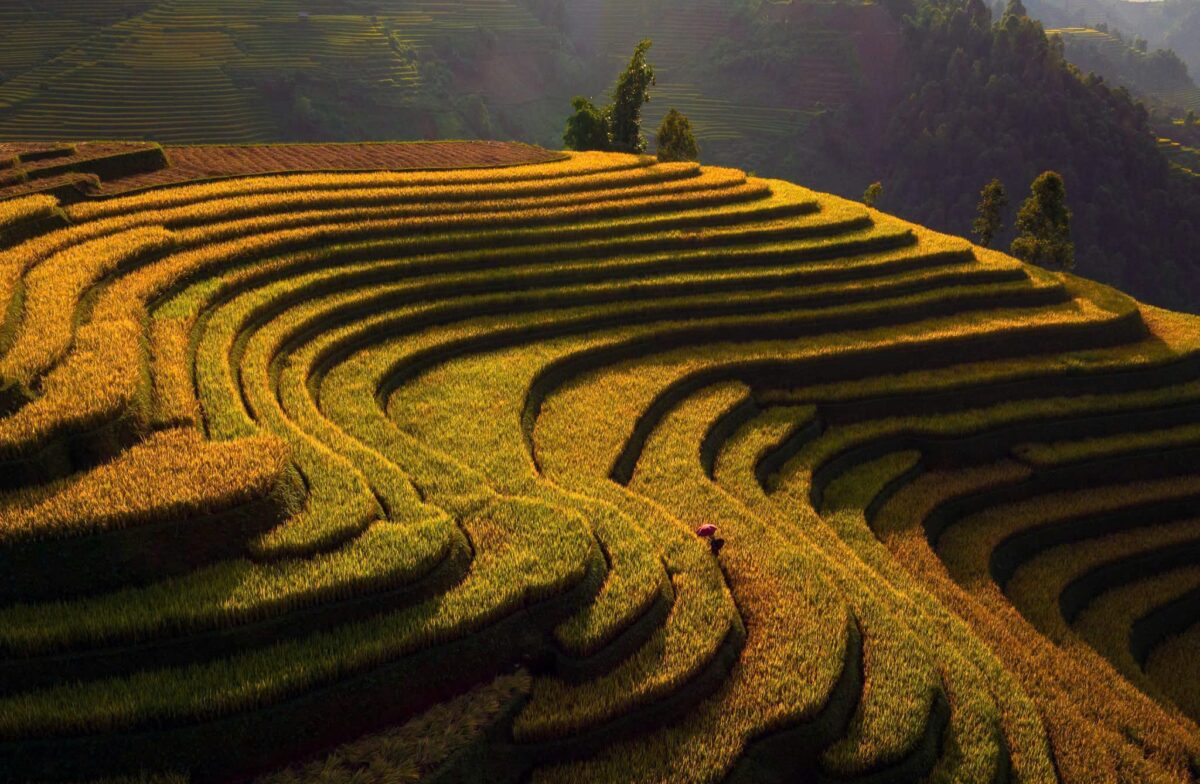 Sapa Motorbike Tours Half Day Led By Women Sapa Motorbike Tours Half Day Led By Women