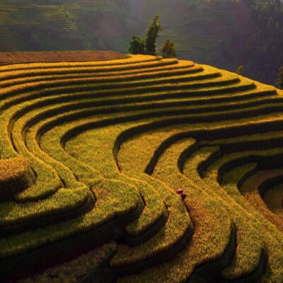 Sapa Motorbike Tours Half Day Led By Women