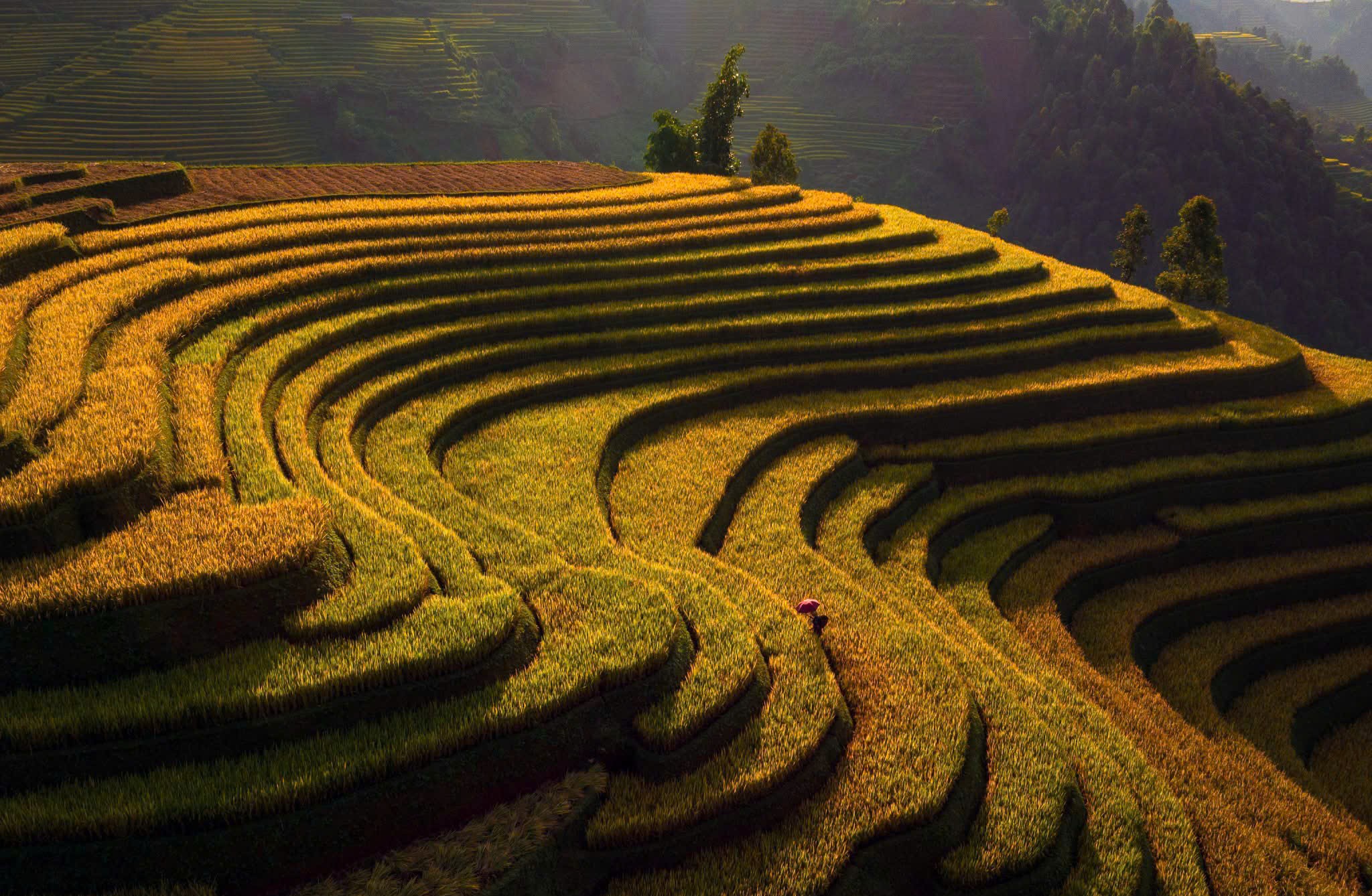 Sapa Motorbike Tours Half Day Led By Women Sapa Motorbike Tours Half Day Led By Women