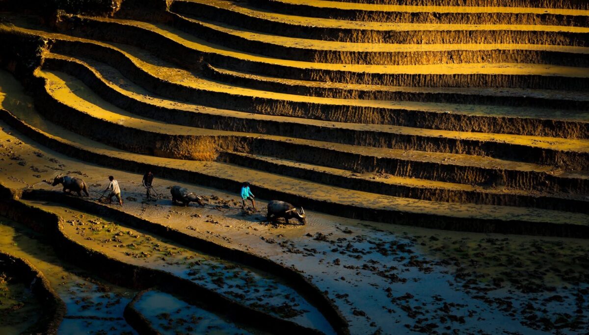 Sapa Motorbike Tours Half Day Led By Women Sapa Motorbike Tours Half Day Led By Women