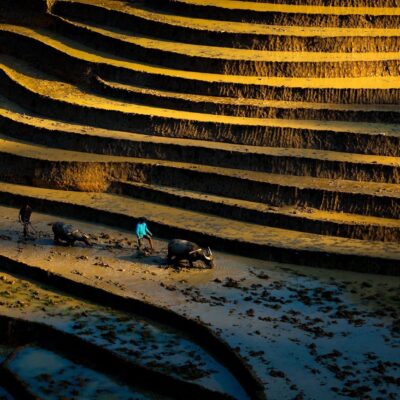 Sapa Motorbike Tours Half Day Led By Women