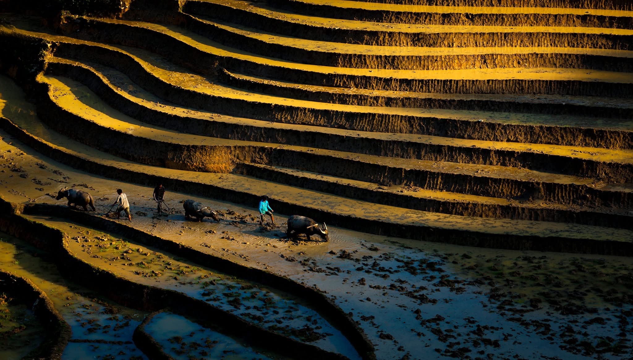 Sapa Motorbike Tours Half Day Led By Women Sapa Motorbike Tours Half Day Led By Women