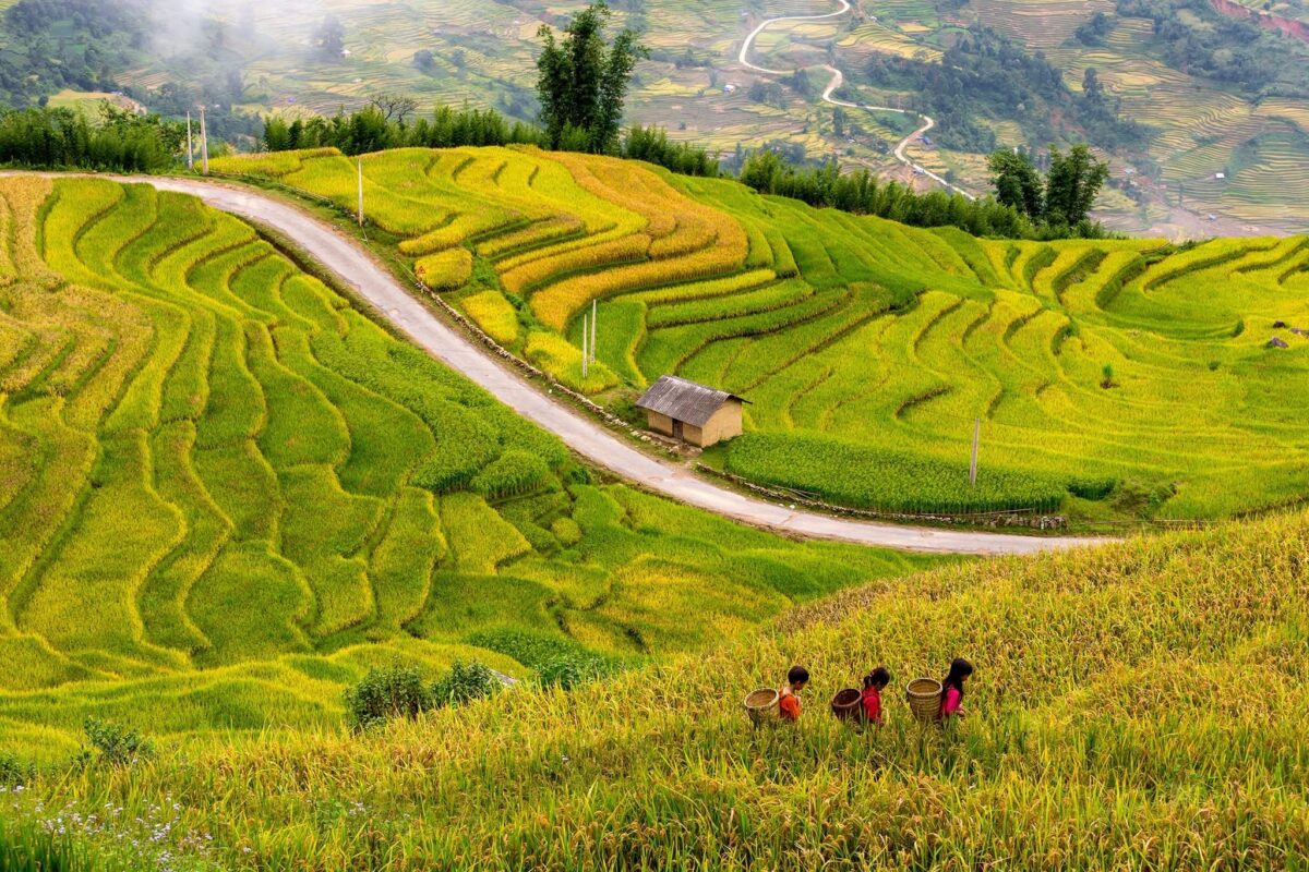 Sapa Motorbike Tours Half Day Led By Women Sapa Motorbike Tours Half Day Led By Women