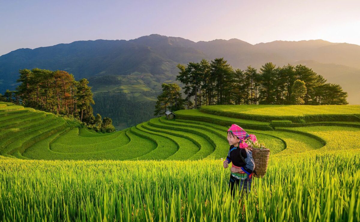 Sapa Motorbike Tours Half Day Led By Women Sapa Motorbike Tours Half Day Led By Women