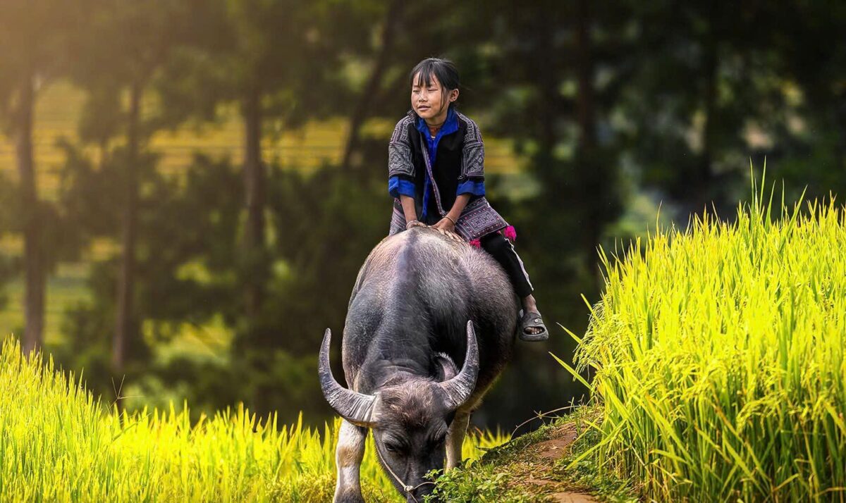 Sapa Motorbike Tours Half Day Led By Women Sapa Motorbike Tours Half Day Led By Women