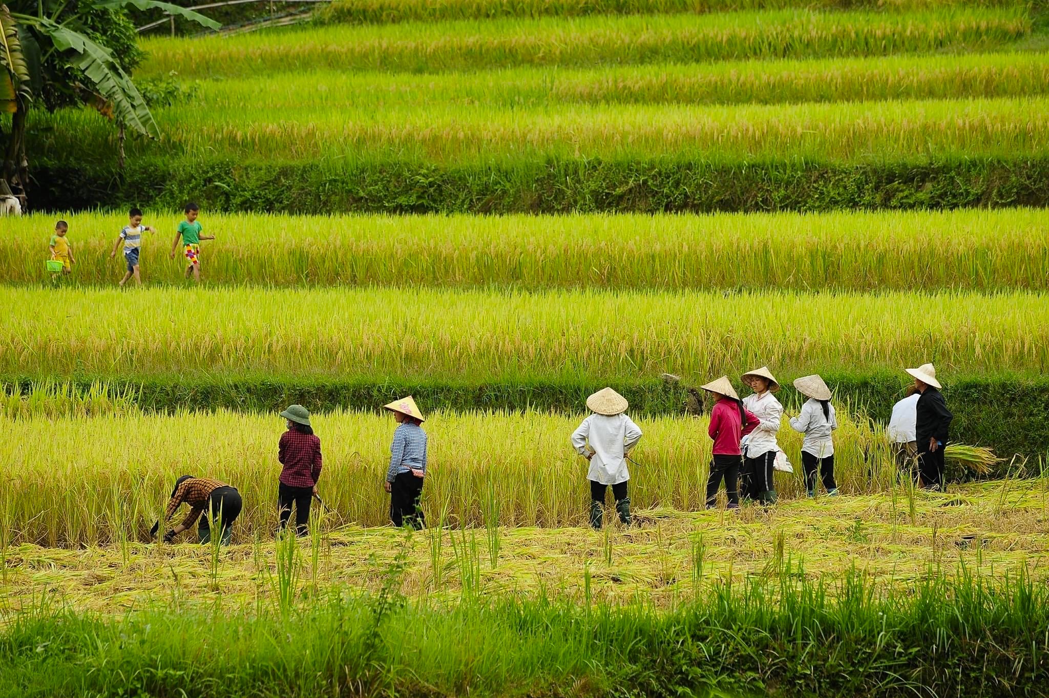 Mai Chau Women Tours Mai Chau Women Tours